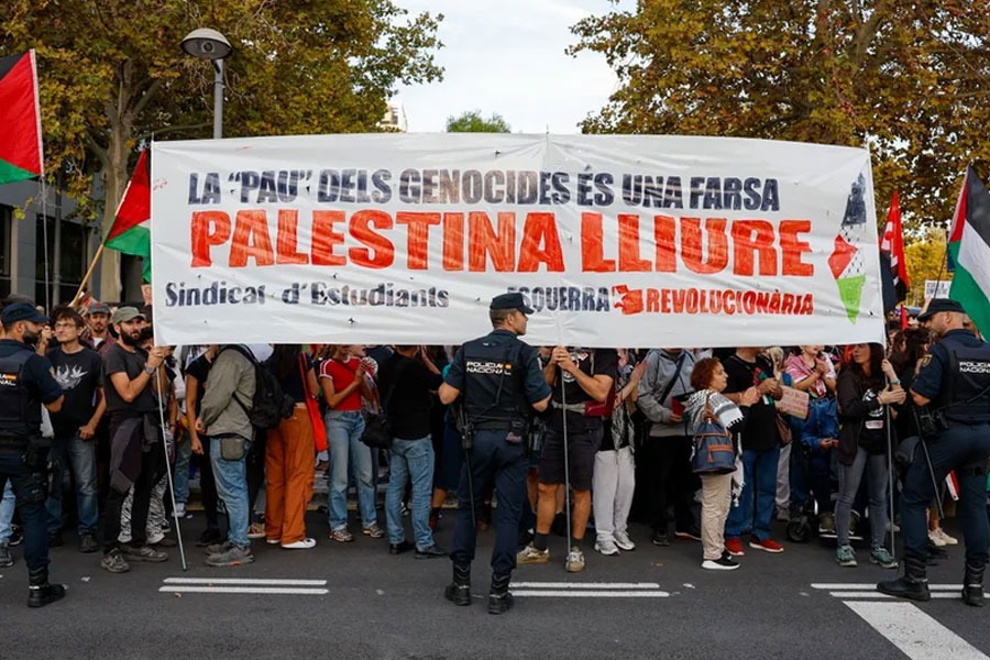 La delegada del govern central a València, del PSOE, multa amb 11.500 euros tres militants del Sindicat d'Estudiants per manifestar-se en suport al poble palestí